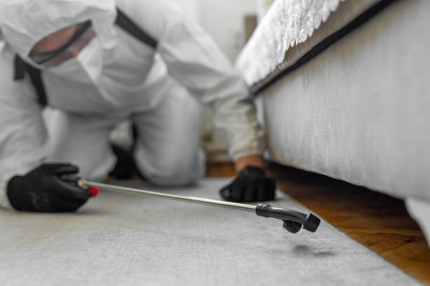Professional Bed Bug Control technician working in Neshoba County County, MS